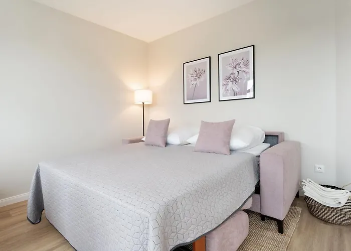 Commodore Meerfreude